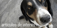 Ir a Articulos de Inter�s