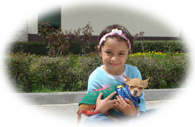 Vilma, la perrita m�s guapa del mundo