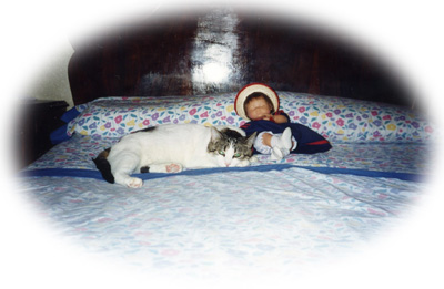 Vilma, la perrita m�s guapa del mundo